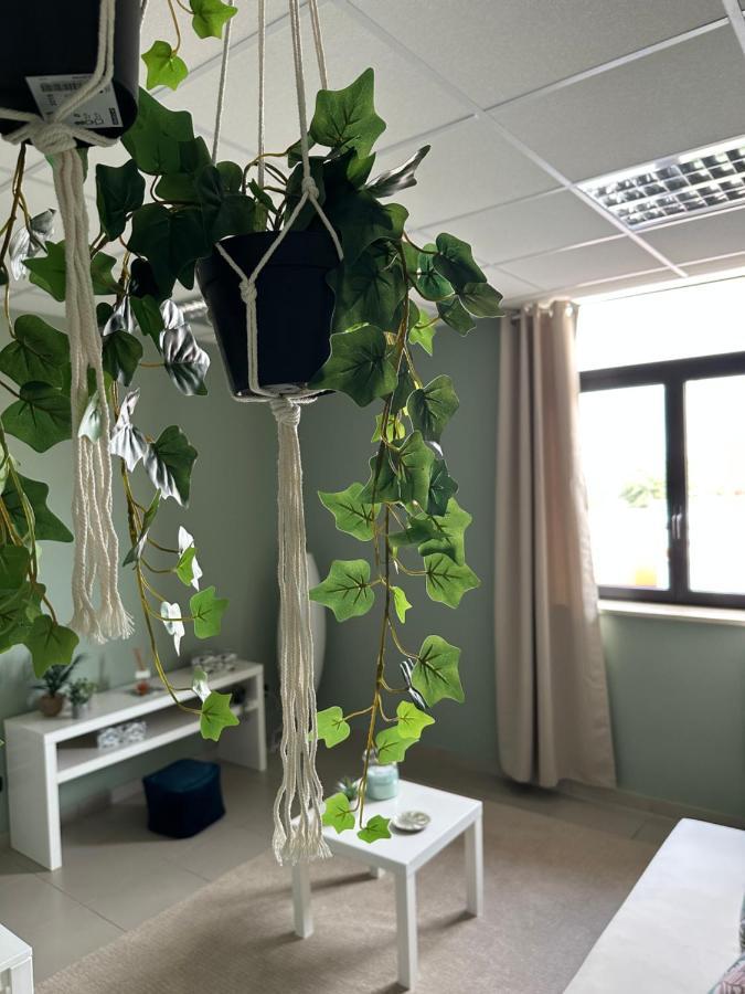 Botanical Suite Bari Zewnętrze zdjęcie